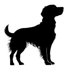 silhouette of a Small Munsterlander