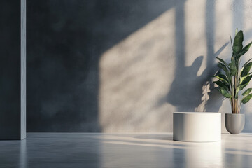 Modern minimal backdrop with a plant and small podeum