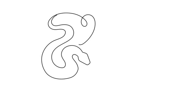 2025 year of snake one line art animation,hand drawn drawing contour motion.Holiday concept,festive New year chinese astrological horoscope,poisonous reptile serpent outline video.4k movie