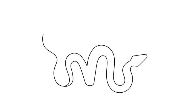 2025 year of snake one line art animation,hand drawn drawing contour motion.Holiday concept,festive New year chinese astrological horoscope,poisonous reptile serpent outline video.4k movie