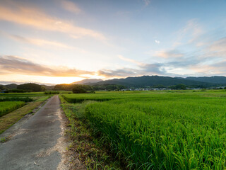 朝焼けの空と明日香村の田園風景