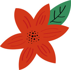 a poinsettia with a leaf