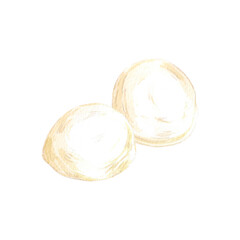 Hand drawn watercolor mozzarella balls isolated on white background. Can be used for postcard, label, scrapbook and other printed products.