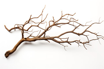Fototapeta premium Awesome Isolated driftwood branch with intricate twists perfect for artistic and design projects