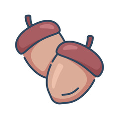 Acorn icon. acorn, nature, autumn, plant, oak, season, nut, fall, forest, vegan. Vector icon illustration
