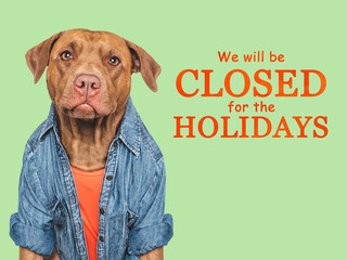 Signboard with the inscription We will be closed for the Holidays. Adorable brown dog and a basket with pumpkin. Closeup, indoors. Studio shot. Pets care concept
