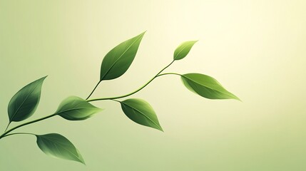 Naklejka premium Green leaves on a stem, white isolate background