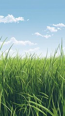 Fototapeta premium Lush green grass under a clear blue sky