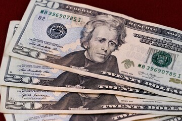 Twenty dollar bills