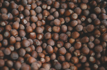 background of hazelnuts