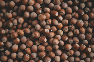 Hazelnuts in a wooden bowl on rustic background, Hazelnut background with green leaf