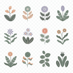 Naklejka premium A collection Set of beautiful blooming wild flowers from the garden botanical chart Flowers floral pattern on transparent background