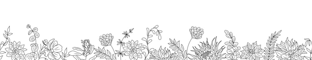 Autumn flowers and herbs border. Horizontal seamless banner, floral overlay backdrop. Botanical monochrome ink sketch style hand drawn vector illustration isolated on transparent background.