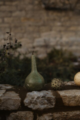 pumpkins on a stone fence