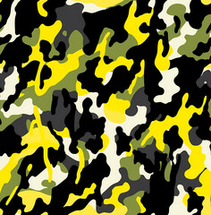 Camouflage in Motion
