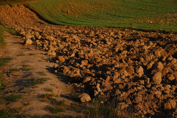 a field of grass and ploughed earth illuminated by sunlight creates a natural texture