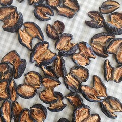 cooked mussels on a plate
