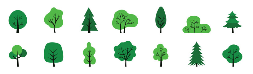Colorful deciduous and coniferous trees set isolated on a white background. Design concept for a textbook, poster, banner. Simple flat style elements. Vector illustration. Biology theme stickers. 