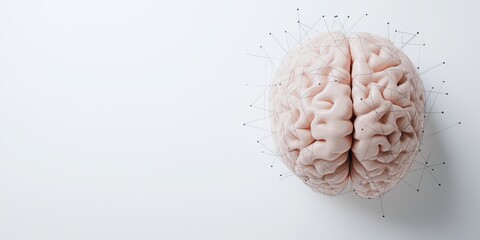 Artificial Intelligence Brain with Neural Network Connections on a White Background