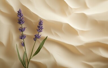 Lavender Flowers on a Cream Background