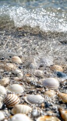 Seashells scattered on a beach with a small wave breaking over them.
