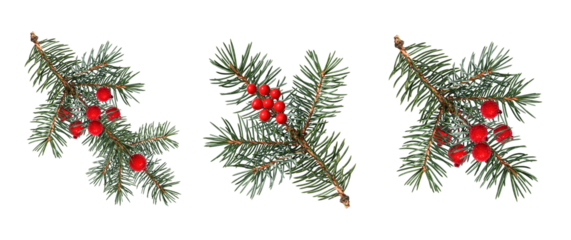 A set of coniferous branches decorated with artificial red berries. Blue spruce, Christmas tree. Design element for creating festive Christmas arrangements, frames, cards, invitations.