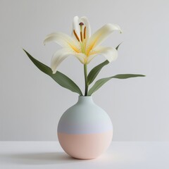 A modern arrangement featuring a single white lily in a pastel-colored vase, set against a clean white surface