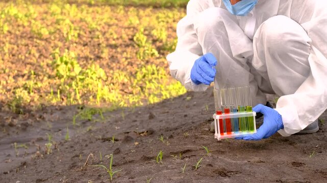 Taking soil samples in nature. Selective focus.