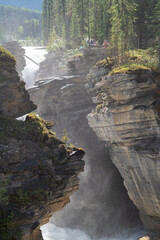 Obraz premium Scenic view on the way from banff to jasper national park