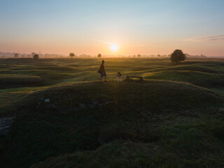 Estonian nature, karst zone in Kostivere . A boy with a husky dog ​​walks in field on a summer evening, drone view.