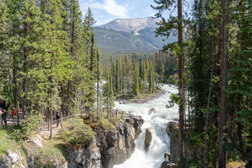 Scenic view on the way from banff to jasper national park