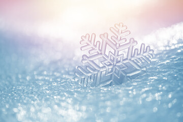 Icy snowflake on snow in sunlight