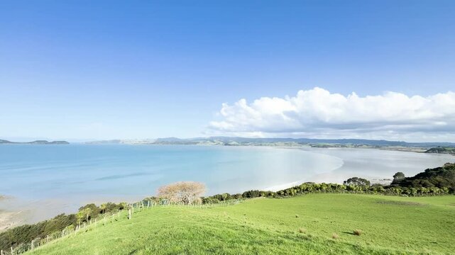 View of a park in New Zealand. Blue ocean and green grass field on spring day. Duder Park.
