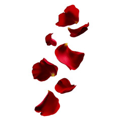 floting HighResolution Red Rose Petals PNG Transparent for Weddings Romantic Designs
