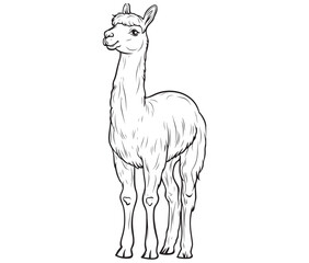 Alpaca silhouette vector, llama line art vector, animal vector