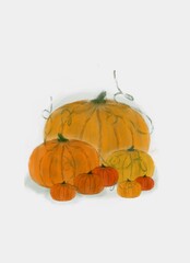 Set of Orange Watercolor Pumpkins on White Background. Hand-Drawn Illustration for Autumn, Halloween, and Thanksgiving