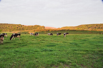 北海道・中頓別町の風景