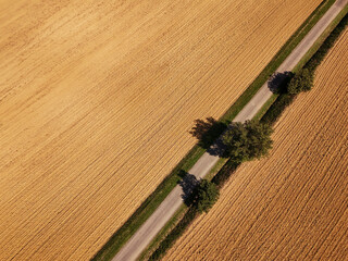 Route et terre