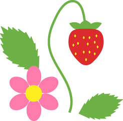 A stawberry with a pink flower. Vector illustration with transparent background.