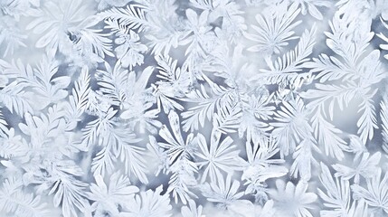 Delicate frost patterns on a window pane create an intricate design.