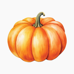 Vibrant orange pumpkin illustration