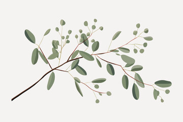 Minimalistic eucalyptus branch illustration