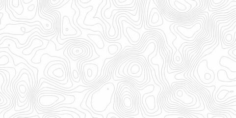 Obraz premium The stylized height of the topographic map contour in lines and landscape isolated on transparent. Black and white topography contour lines map isolated on white background.