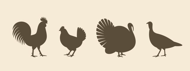 Poultry silhouette. Isolated  poultry on vintage  background