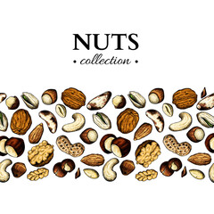 Nuts and seeds frame template. Vector illustration. Seamless pattern border 