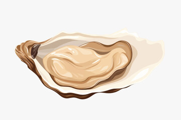 Fresh oyster on white background