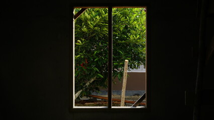 Point of View Looking Out a House Window