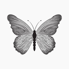 Intricate black and white butterfly