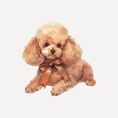 Adorable poodle with brown bow