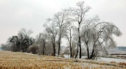 Snow and rime in rural China